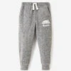 Toddler Boys Organic Park Slim Sweatpant