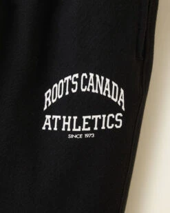 Toddler Boys Roots Athletics Sweatpant -Cloveras Fashion Shop 31070313 001 c
