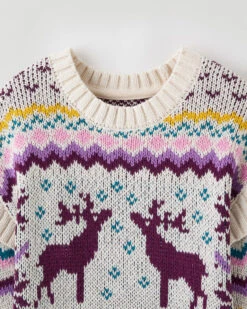 Toddler Girls Fair Isle Sweater Dress -Cloveras Fashion Shop 31100027 A11 c