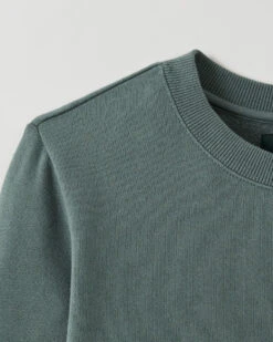 Organic Cooper Easy Crew Dress -Cloveras Fashion Shop 38130347 K35 d