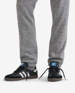 Organic Original Sweatpant Tall (33.5 Inch Inseam) -Cloveras Fashion Shop 39100023 008 g