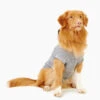 Pooch Salt And Pepper Hoody Size 20