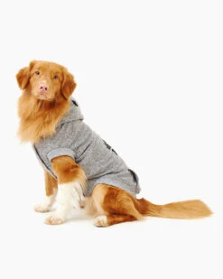 Pooch Salt And Pepper Hoody Size 20 -Cloveras Fashion Shop 45040230 008 c