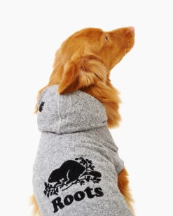 Pooch Salt And Pepper Hoody Size 20 -Cloveras Fashion Shop 45040230 008 d