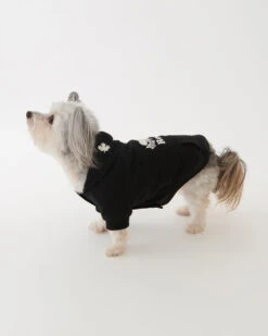 Pooch Original Kanga Size 10-14 -Cloveras Fashion Shop 45040289 001 c