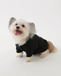 Pooch Original Kanga Size 16-20