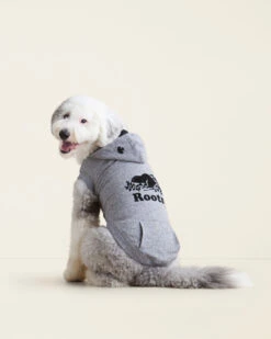 Pooch Original Kanga Size 24 -Cloveras Fashion Shop 45040383 008 c