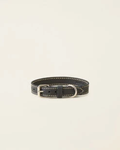 Medium Leather Dog Collar