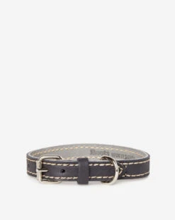 Extra Small Leather Dog Collar